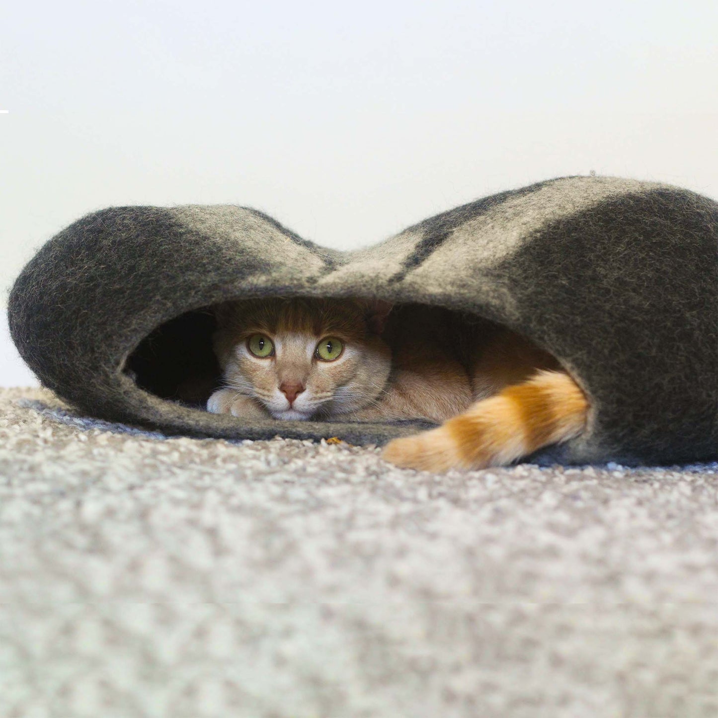 The Cat Cave