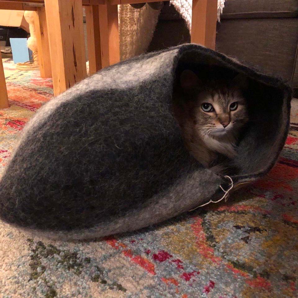 The Cat Cave